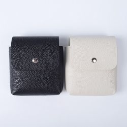 Earphone protection case