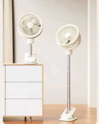 Multi-function fan