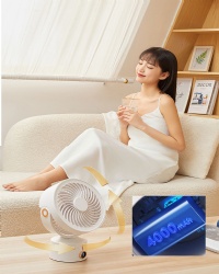 Small fan