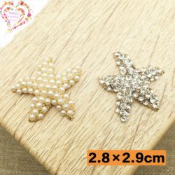 starfish DIY accessory