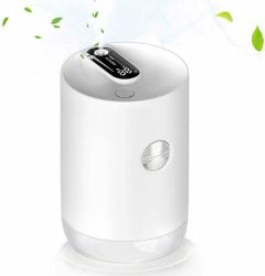 2019 hot goods humidifier